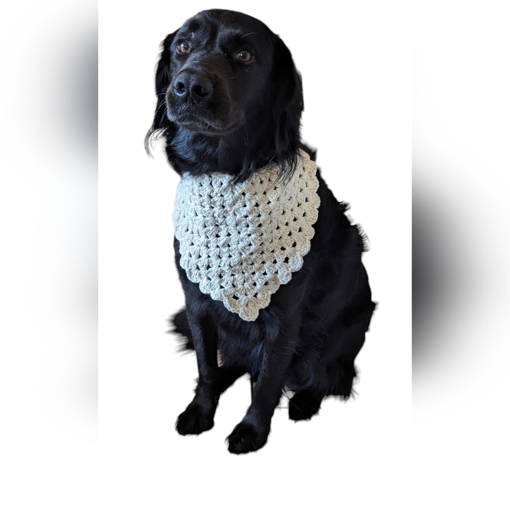 Hand Crafted Dog Bandana